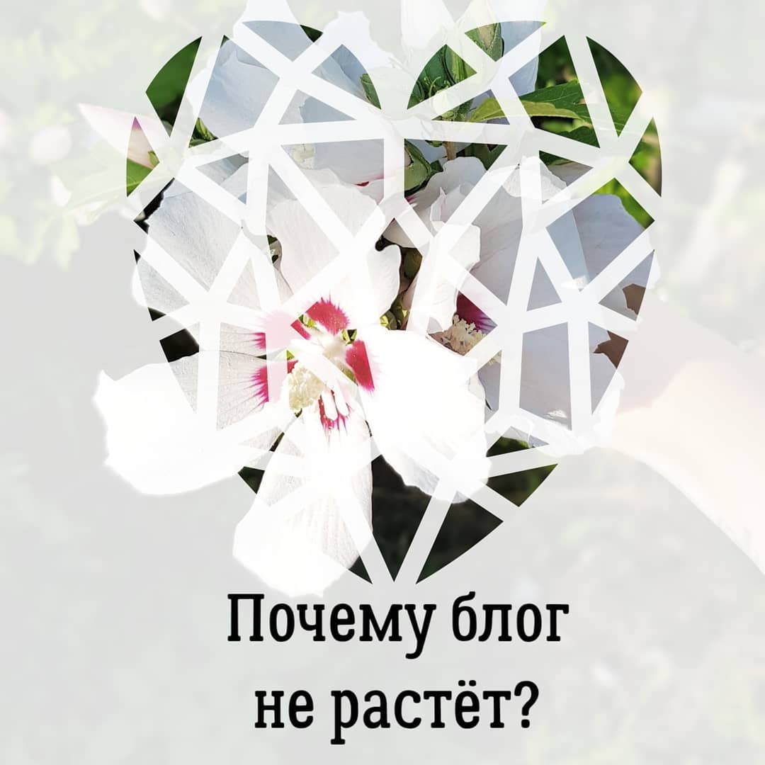 Почему блог
не растёт часть 2?