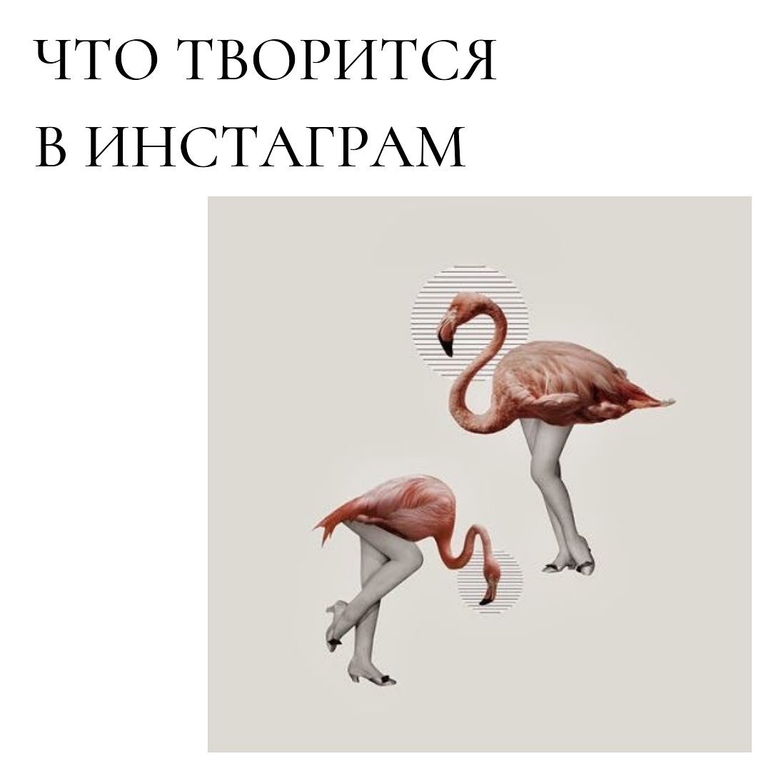 Что творится
в инстаграм