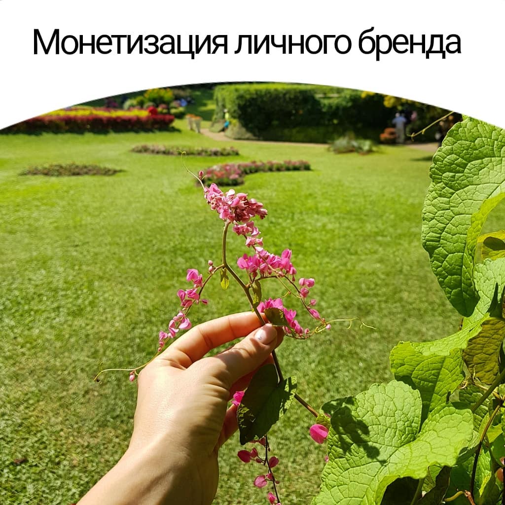 Монетизация личного бренда