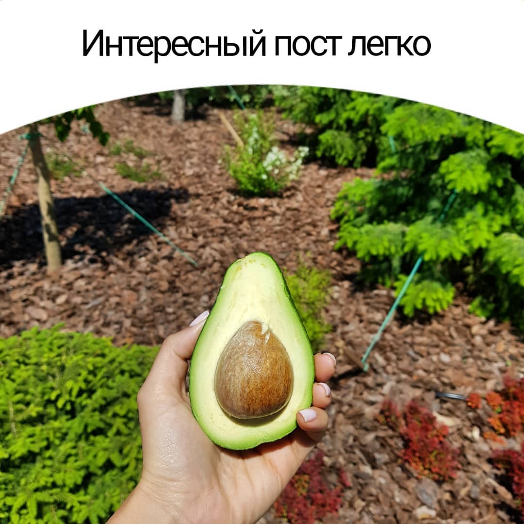 Интересный пост легко