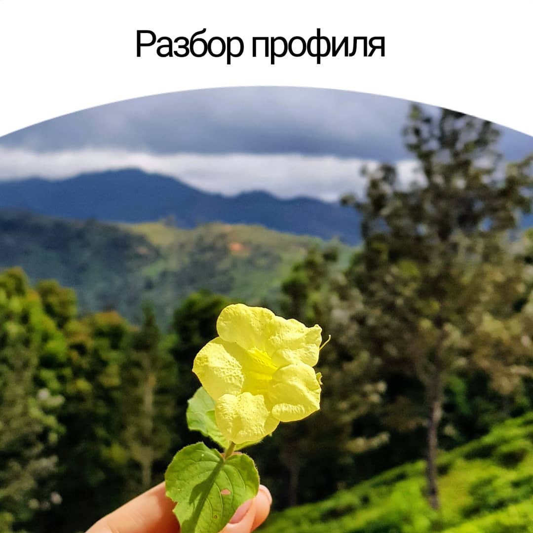 Разбор профиля