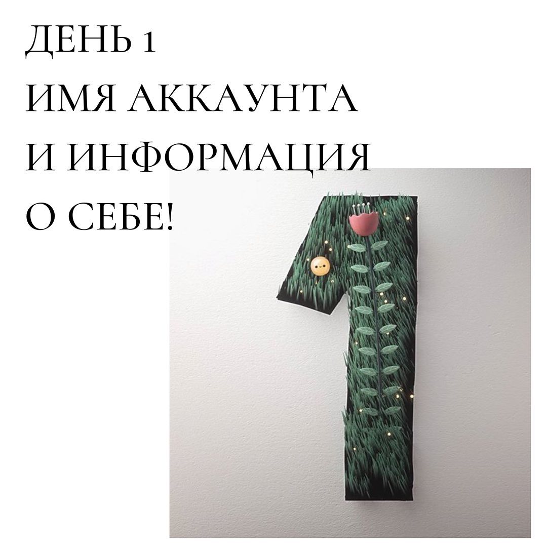 День 1
имя аккаунта
и информация
о себе