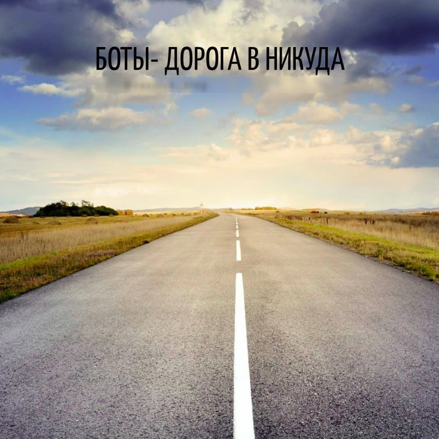 Боты - дорога в никуда