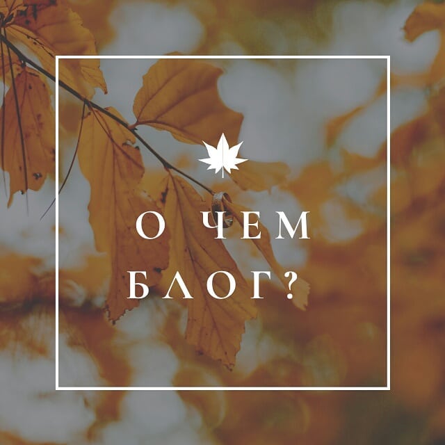 Блогдневник о продвижении   в instagram