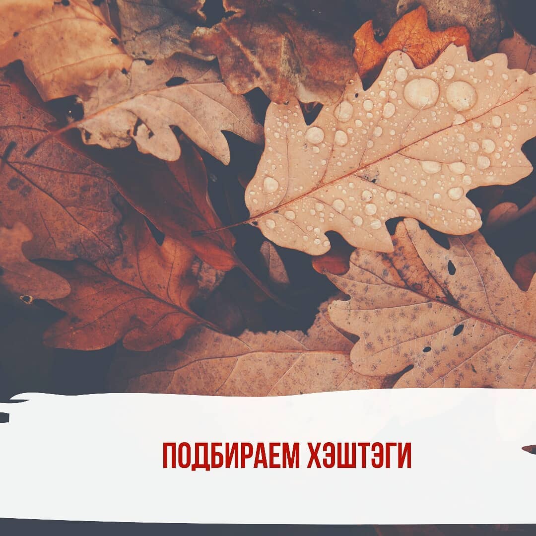 Хэштеги  как их подобрать и зачем они нужны