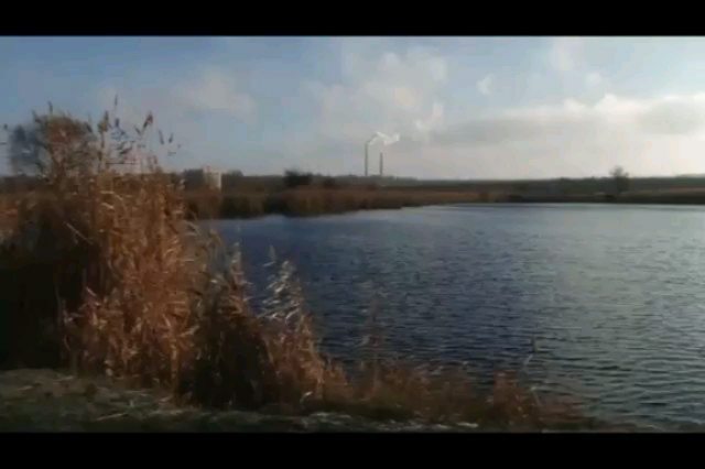 Моржи в кривом роге или мы попали на местное тв