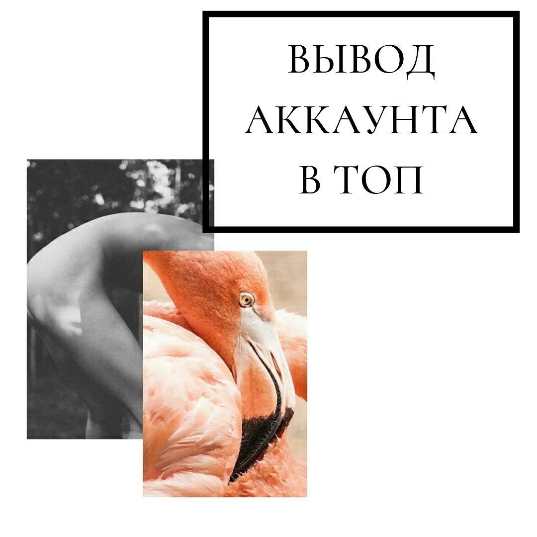 Вывод
аккаунта в топ