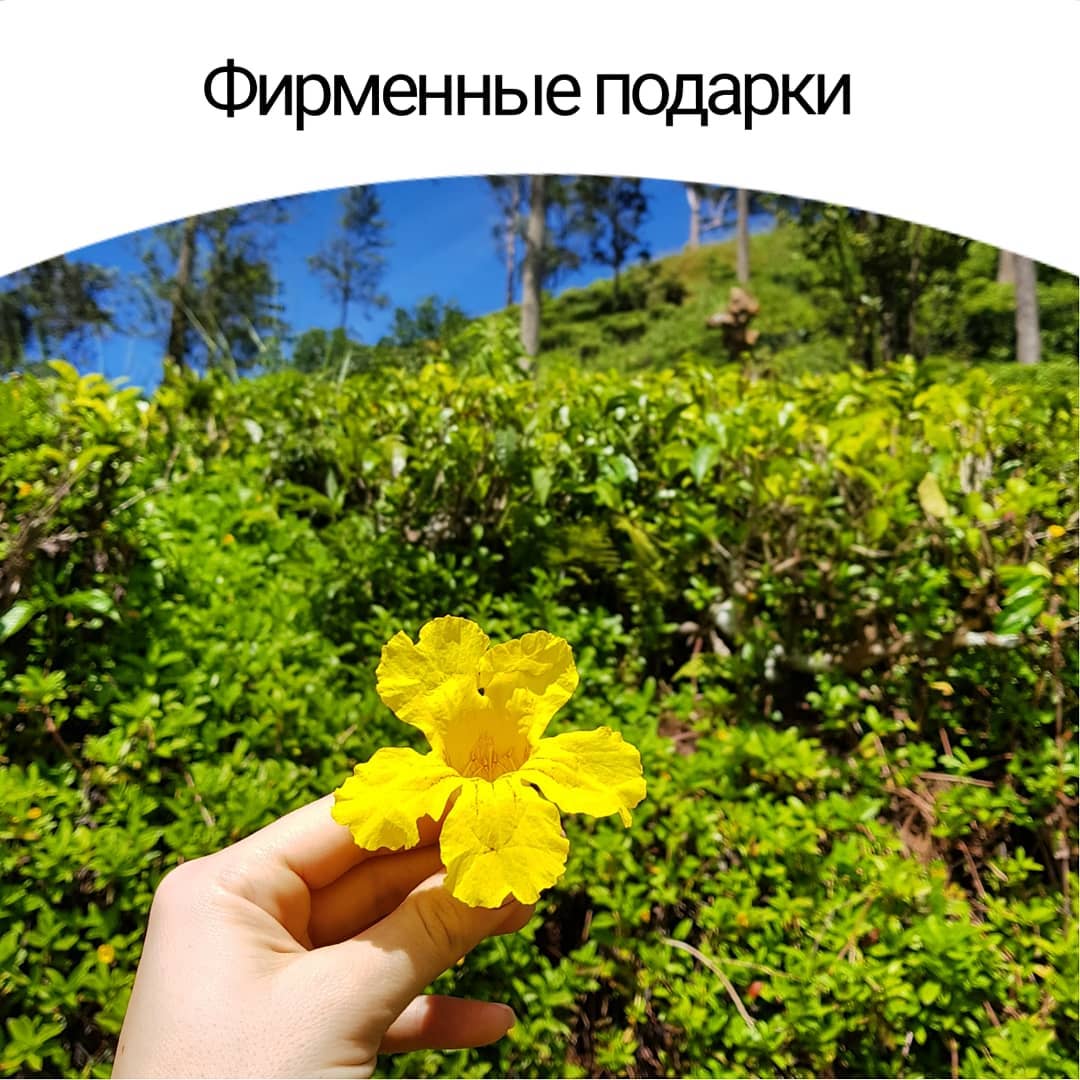 Фирменные подарки