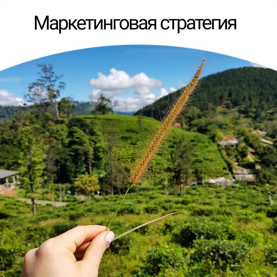 Маркетинговая стратегия