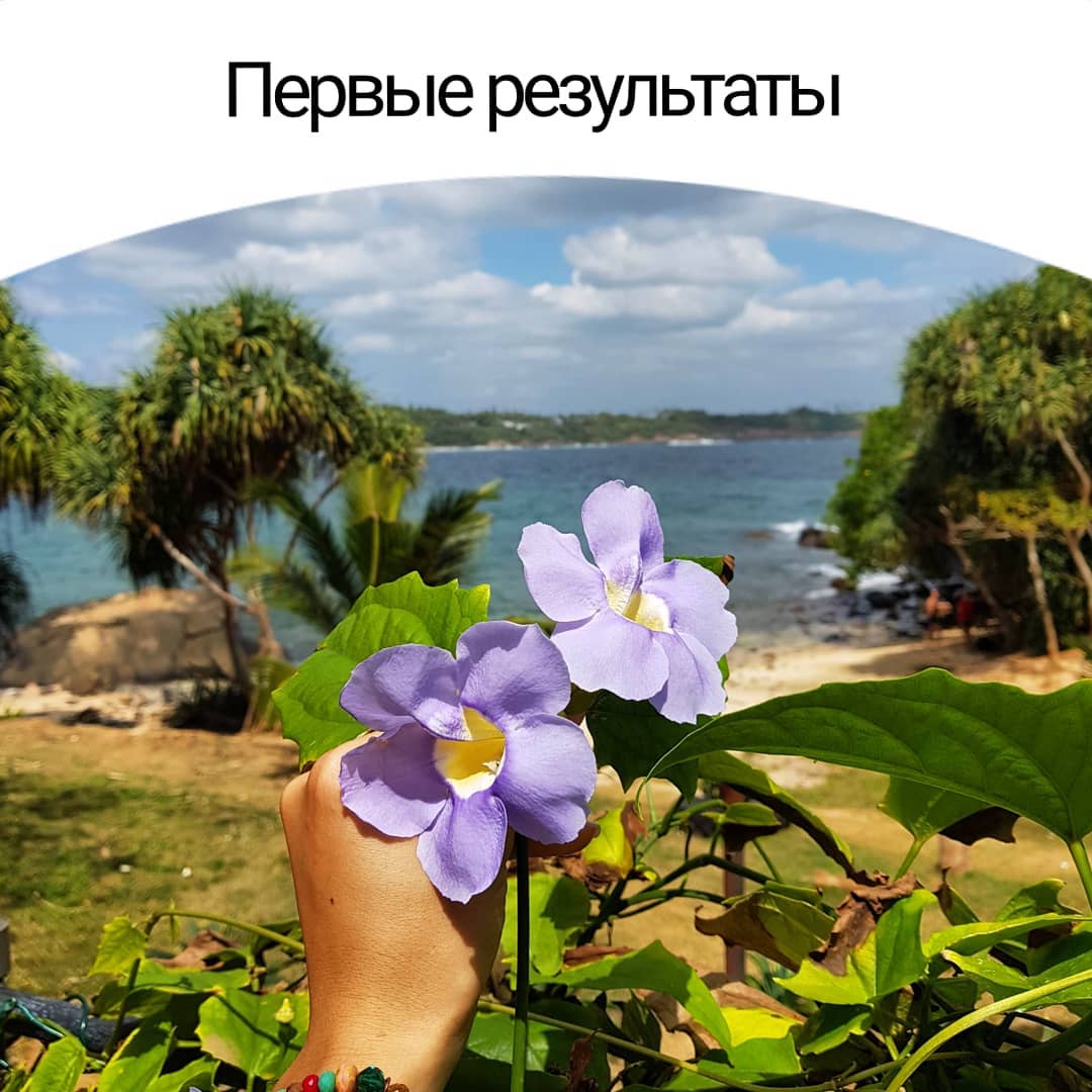 Первые результаты