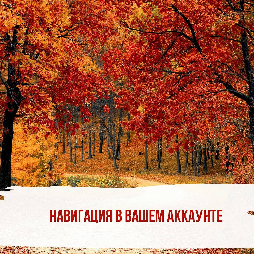 Про навигацию в аккаунте