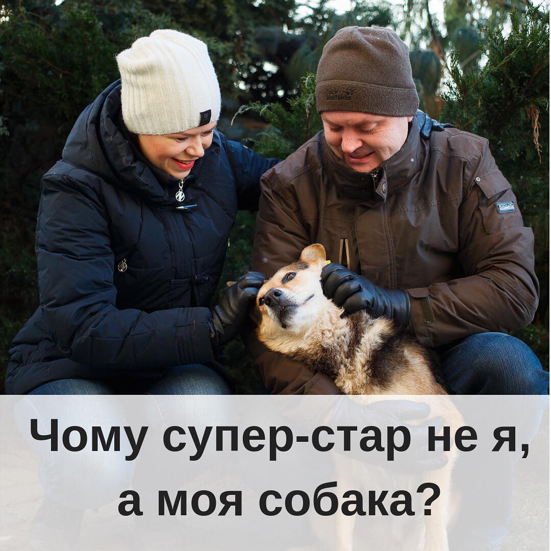 Якщо чоловик добрий тод все безнадйно який господар така  собака 