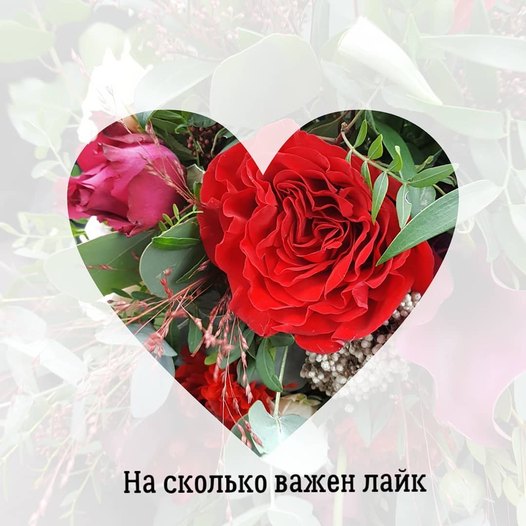 На сколько важны Лайки