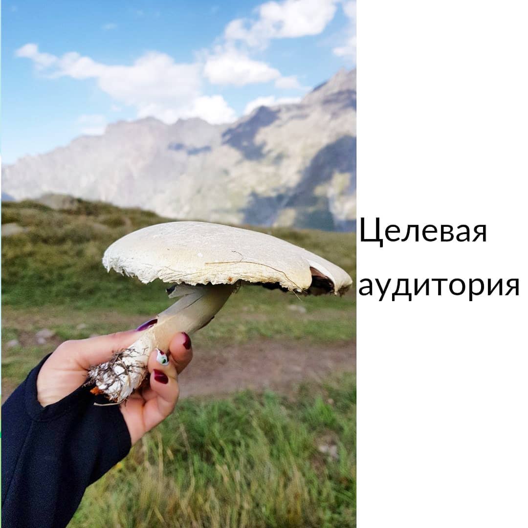 Целевая аудитория