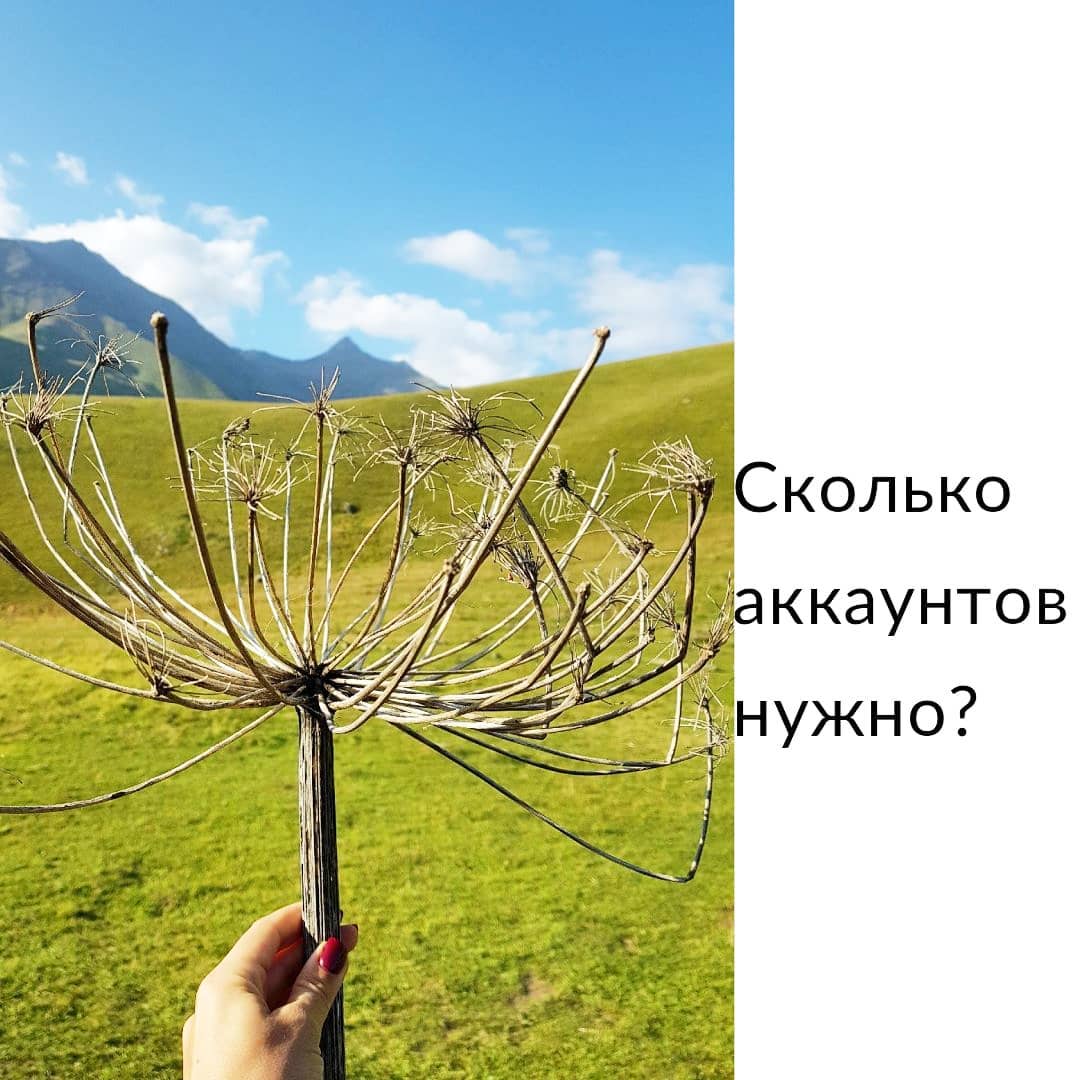 Сколько аккаунтов нужно?