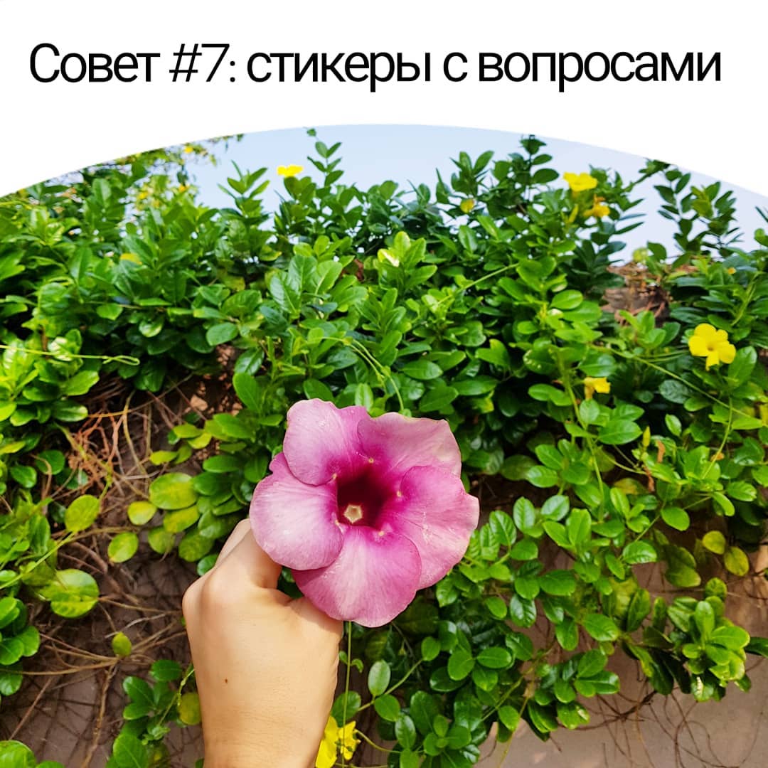 Совет #7: стикеры с вопросами