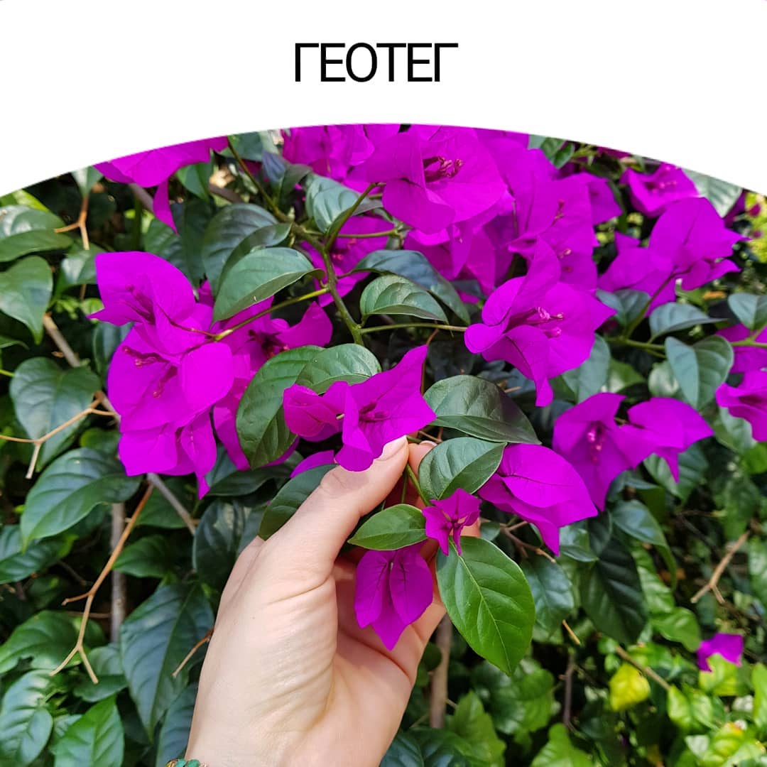 Геотег Instagram