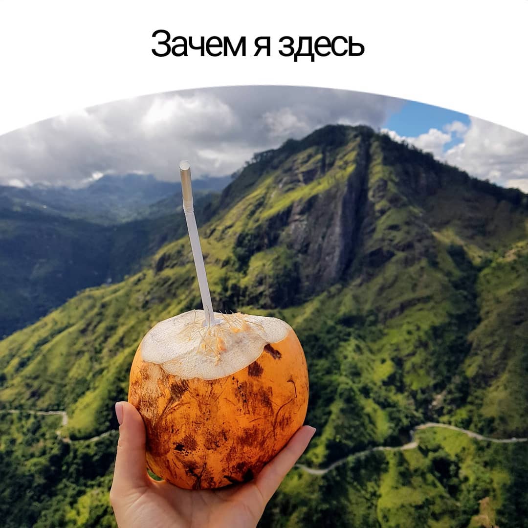 Зачем я здесь