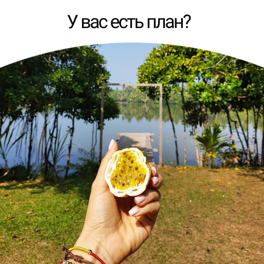 У вас есть план?