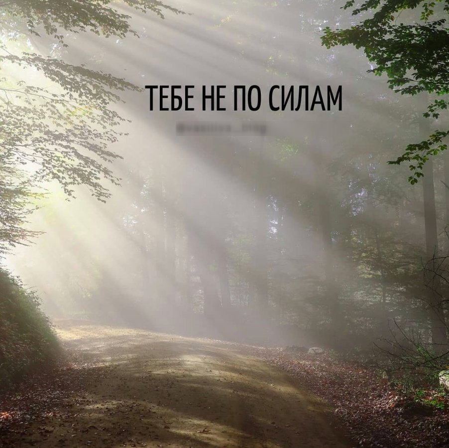 Тебе не по силам