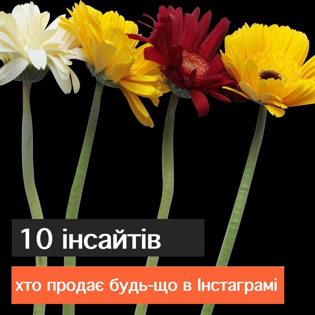 10 важливих нсайтв з якими я хочу подлитися просто прочитайте кож