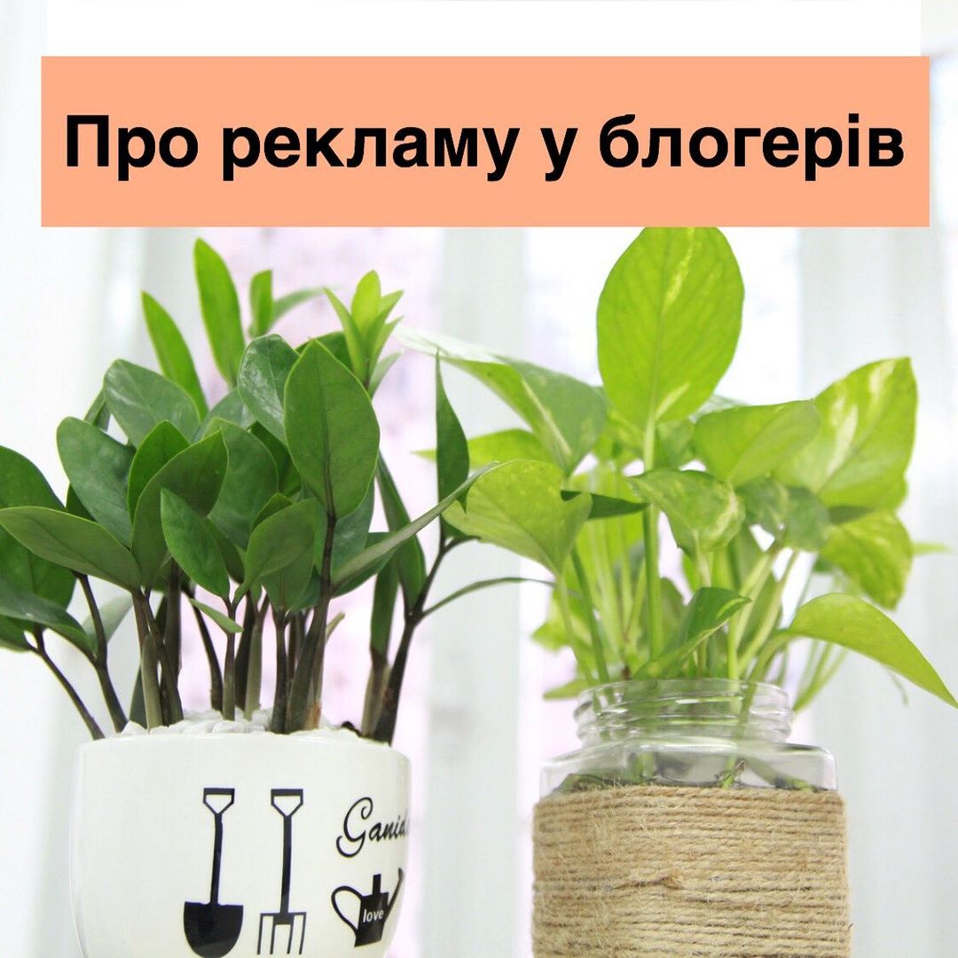 Парочка важливих нсайтв перед тим як замовляти рекламу у блогера