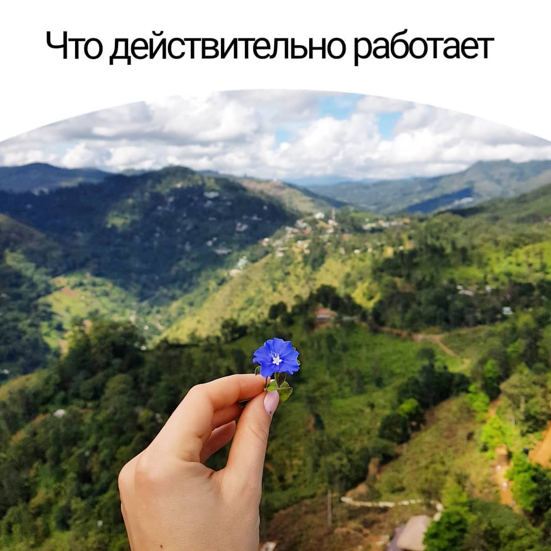 Что действительно работает