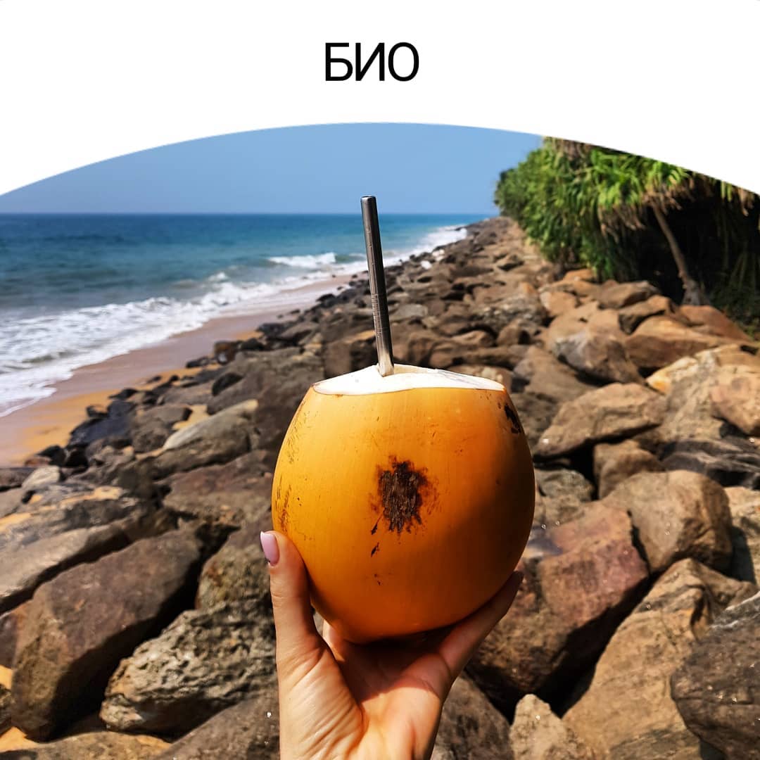 БИО Instagram