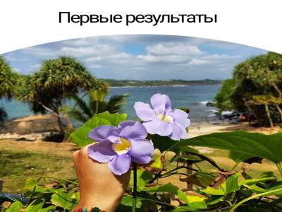 Первые результаты