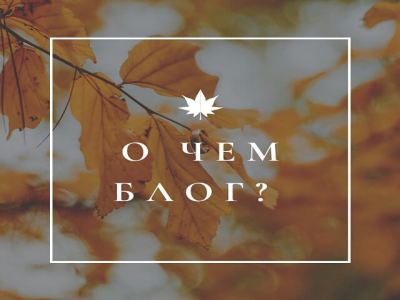 Блогдневник о продвижении   в instagram