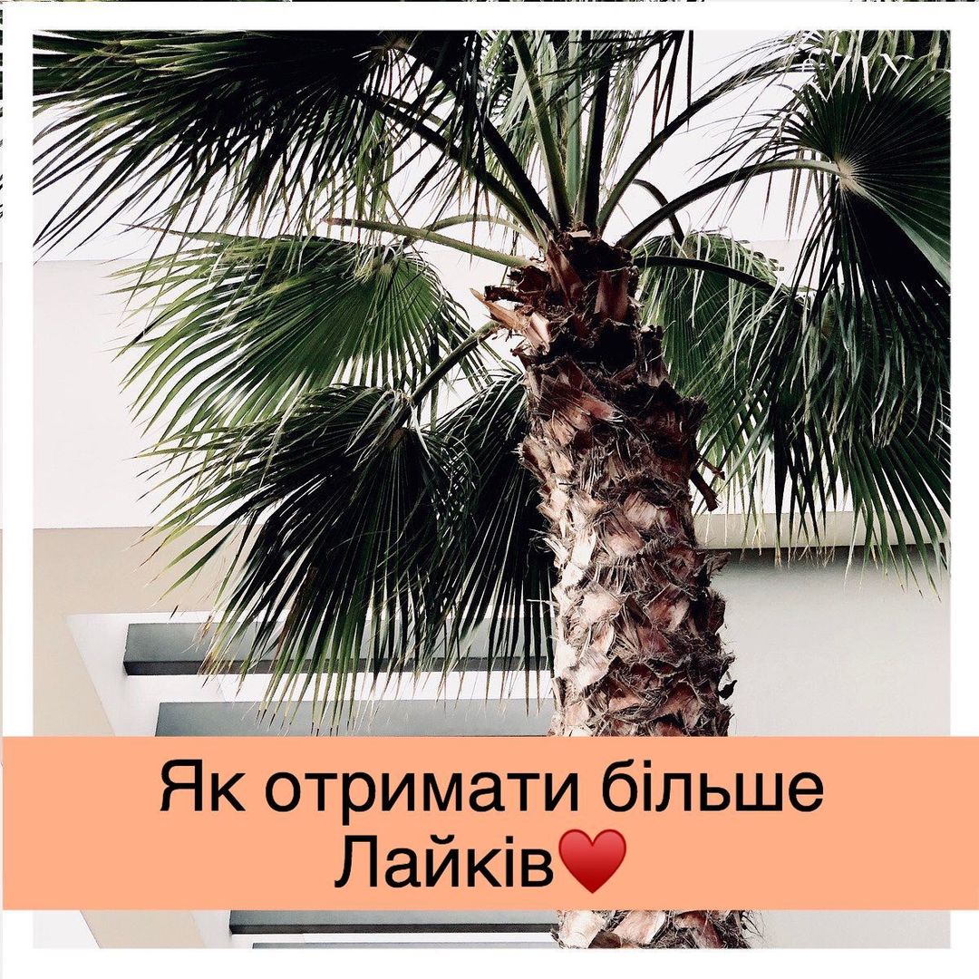 Просто